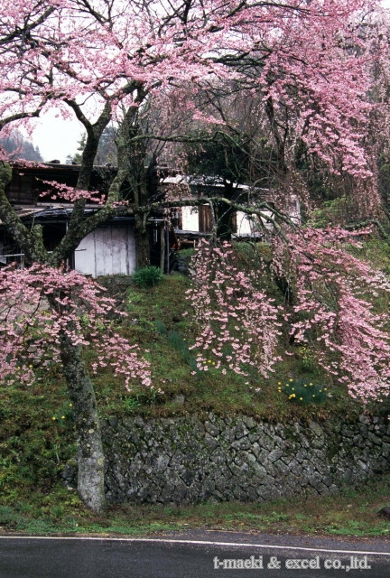 img0010.jpg