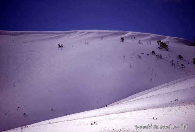 img0031.jpg
